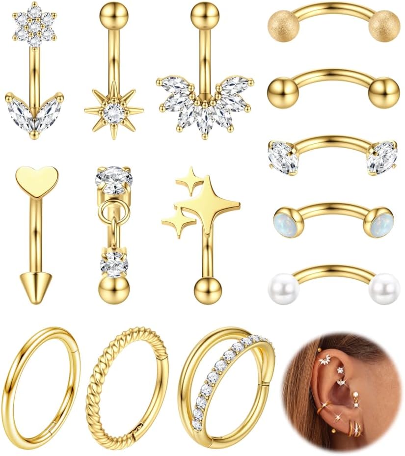 14 Pièces Piercing Rook Acier Inoxydable Femmes Plaqué Or Argent Arcade Sourcils Piercings Oreille Helix Daith Nez Anneau Labret Vertical Levre Acier Chirurgical Femme
