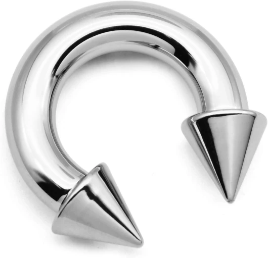 FECTAS PA Ring Anneau de Piercing Prince Albert 2G-4G-6G-8G-10G-12G 12mm/16mm Acier Chirurgical Bijoux Piercés Noir Argent