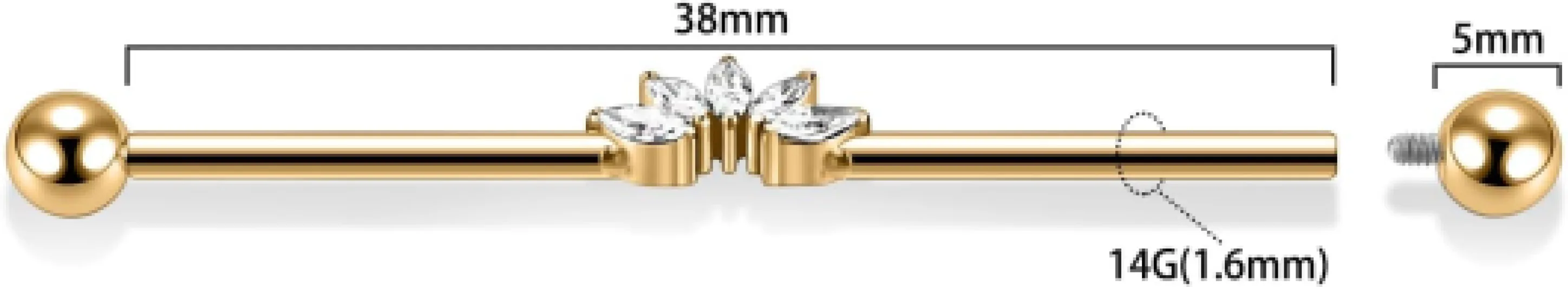 51QR8xWA aL._AC_SL1500_