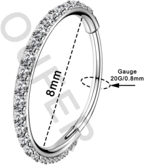 18G 6 8 10 12mm piercing nez Hoop anneaux argent 316L acier inoxydable Helix Hoop Hinged Anneau Septum clicker CZ Conch Daith Tragus Rook Cartilage boucles d'oreilles Bijoux 20g - 8mm de Diamètre.