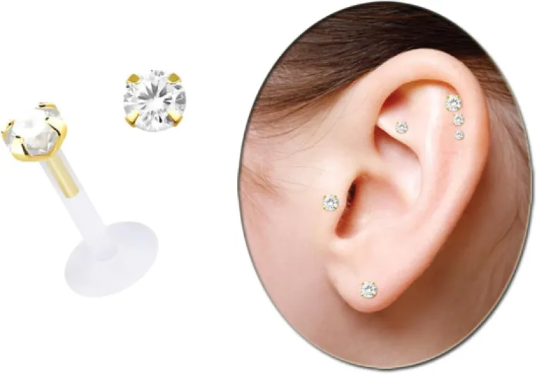 51DIXdZc7ZL._AC_SL1280_