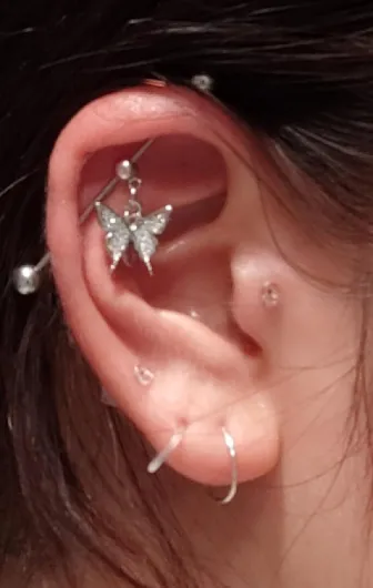 71iUT2tYndL._AC_SL1500_