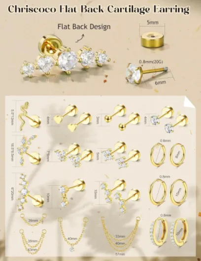 22Pcs Boucles d'oreilles Femme Acier Inoxydable Piercing Oreille Hypoallergénique Creoles Plaqué Or 14K Boucles d'oreilles Argent Piercing Helix Cartilage Piercings Tragus Conch Daith