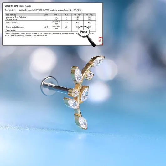 F136 Titanium Hypoallergenic Piercing Jewelry 18G 6mm 8mm 10mm Flat Back Internally Threaded Implant Grade Climber Stud Crawler Earrings For Cartilage,Tragus,Helix,Conch,Nose,Lip(1pc) Classique