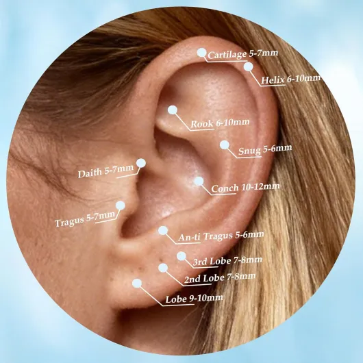 71v32zNGXNL._AC_SL1500_