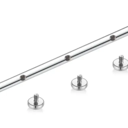 Test AROWRO Piercing Industriel Titane G23 : simple, propre, ça fait le job