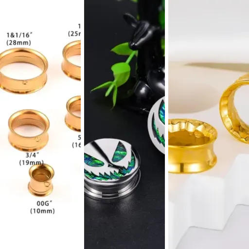 Les 12 meilleurs tunnels et plugs (avril 2026)