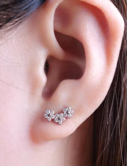 18G Titane Piercing Tragus, 2Pcs Piercing Labret Lèvre Bouche avec CZ Opale, Filetage Intérieur Piercing Oreille Cartilage, Piercing Helix pour Nombril Langue Sourcil Septum Nez Oreille Triple Flowe-silver