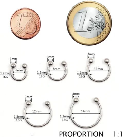 WARRIOR Piercing Fer à Cheval Circulaire/Courbé Barbell Tragus Helix Septum Oreille Stérile en Acier Chirurgical 316L 16G (1,2mm) Body Piercing Bijoux PYS-001 6 Millimètres Bijoux fantaisie